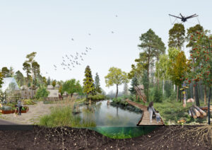 Projektet ”Levande skog, Levande samhälle” har beviljats anslag från Vinnova – Bygg för framtiden!