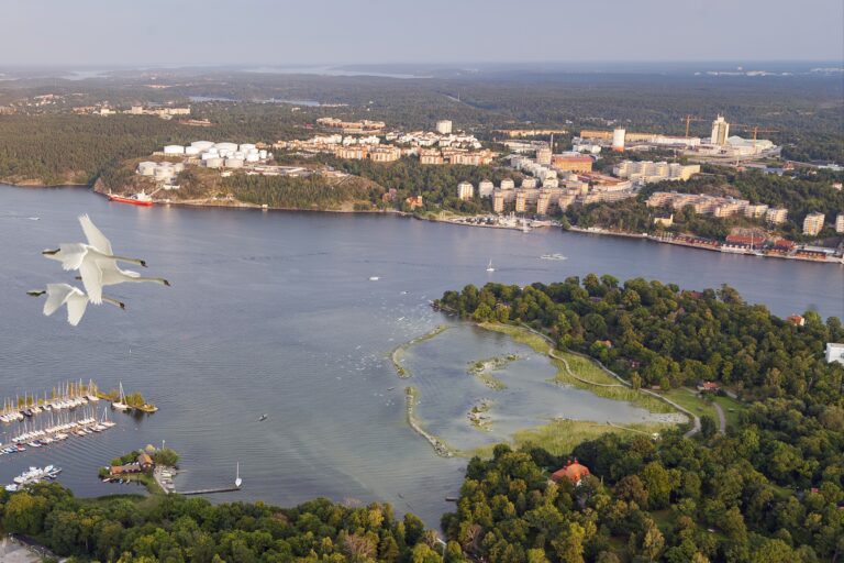 Isbladslagunen – prototyp av naturrestaurering