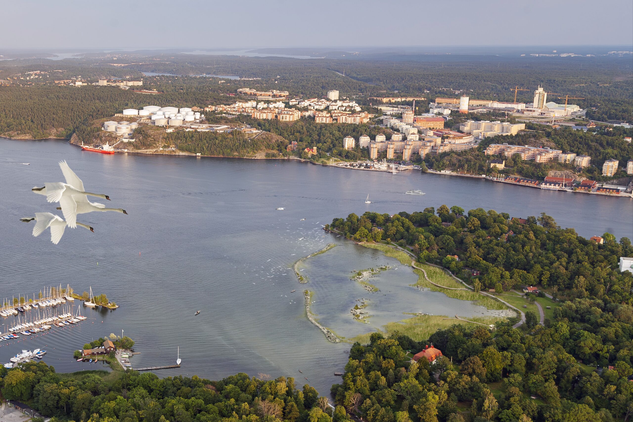 Isbladslagunen – prototyp av naturrestaurering
